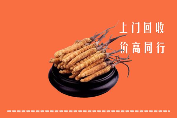高价求购：海西州天峻回收散虫草