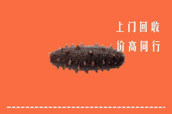 高价求购：海西州天峻回收海参